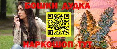 Альфа ПВП Беслан