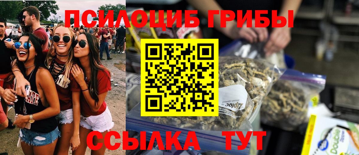 Ивантеевка  Галлюциногенные грибы Cubensis  Вход с VPN 